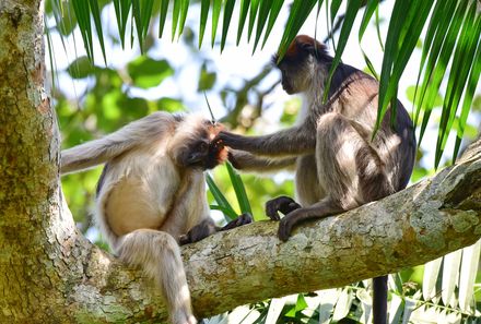 Uganda Familienurlaub - Uganda Family & Teens - Lake Mburo Nationalpark