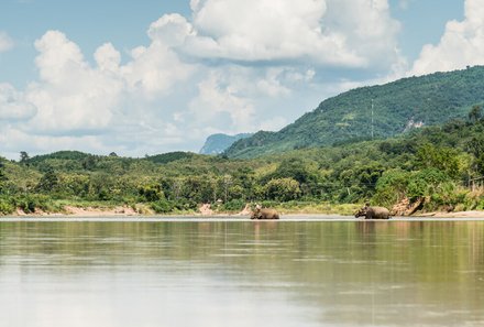 Laos und Vietnam Familienreise - Laos und Vietnam Reise mit Kindern - Naturpanorama Laos