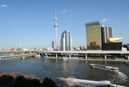 Japan mit Kindern  - Japan for family - Blick auf Tokyo