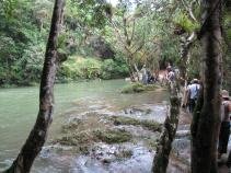 Kuba mit Kindern - Kuba for family - Fluss im Wald