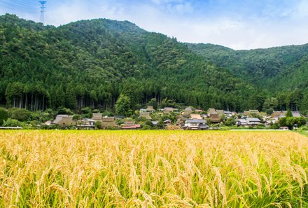 Japan for family - Miyama - Strohgedecktes Dorf