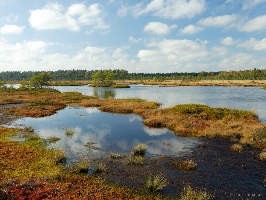 Familienurlaub Estland - Landschaft 