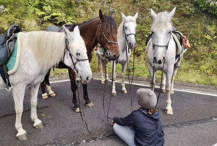 Azoren Family & Teens - Reitausflug - Kind mit Pferden