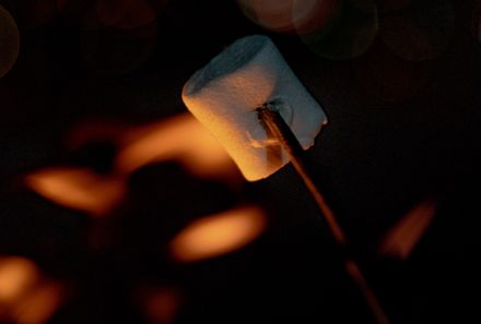 Schweden Familienreise - Schweden for family - Polarkreis - Lagerfeuer mit der Familie - Marshmallow 