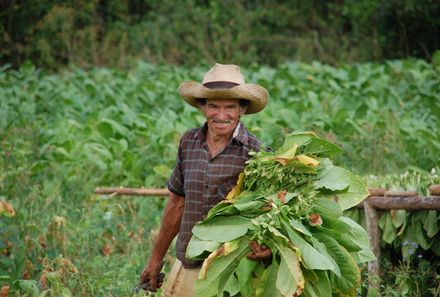 Familienreise Kuba - Kuba for family - Vinales