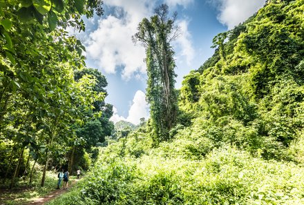 Laos und Vietnam Familienreise - Laos und Vietnam Reise mit Kindern - Grüne Natur