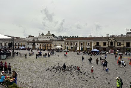Familienreise Galapagos und Ecuador - Galapagos Family & Teens - Quito Hauptplatz