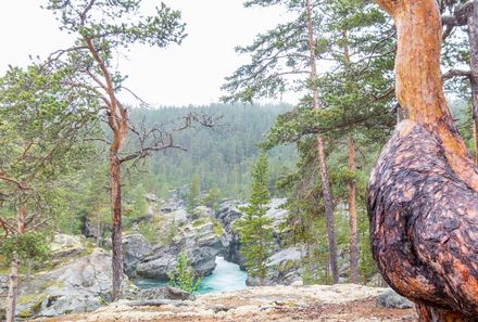 Norwegen Familienreise - Norwegen for family - Brimiland Kletterpark mitten im Wald