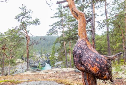 Norwegen mit Kindern  - Norwegen for family - Aussicht