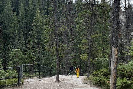 Westkanada for family - Familienurlaub Kanada - Grüner Wald