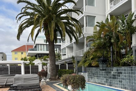 Garden Route Familienreise - Familiensafari plus - Kapstadt Romney Park Apartments - Pool mit Palme