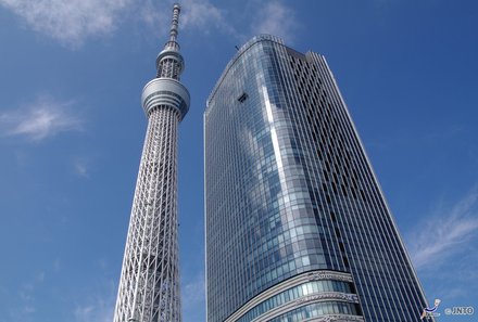 Japan mit Kindern - Japan Reise Interview - Tokyo Skytree