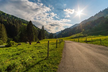 Deutschland Familienreise - Deutschland Camping for family - Straße mit Landschaft