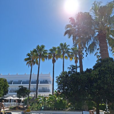 Andalusien for family - Familienreise in Spanien mit Kindern - Palmen und Sonne