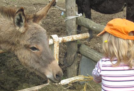 Familienurlaub in Piemont - Kind streichelt Esel