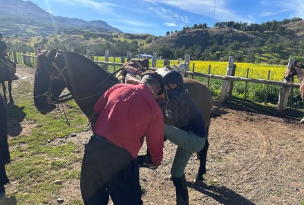 Patagonien Family & Teens - Torres del Paine Nationalpark - Reitausflug