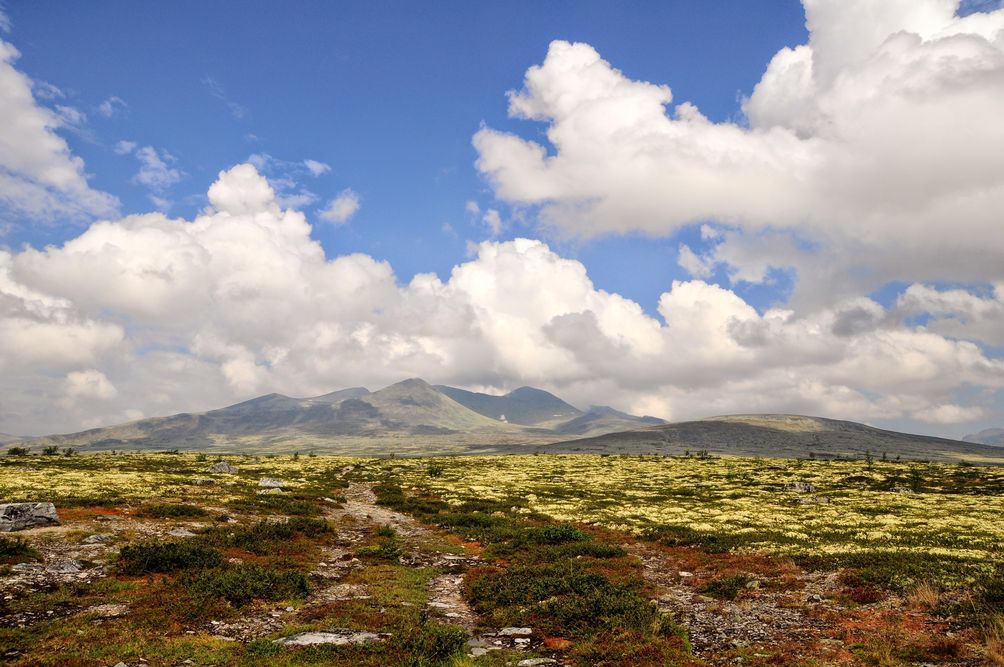 Norwegen mit Kindern - Natur