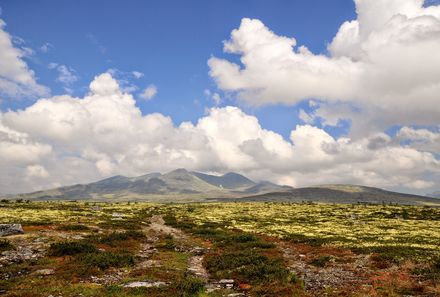 Norwegen mit Kindern  - Norwegen for family - Blick in die Natur