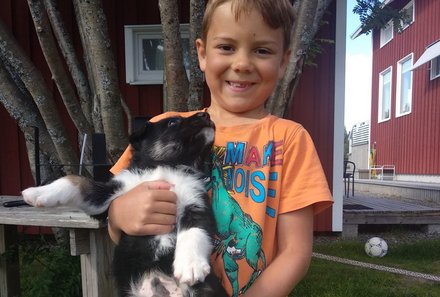 Schweden for family - Husky Farm - Kind mit Husky