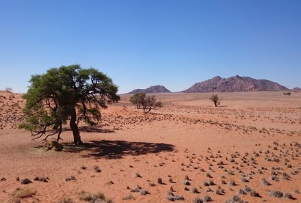 Namibia Familienreise im Mietwagen mit Dachzelt - Wüste - Sossusvlei