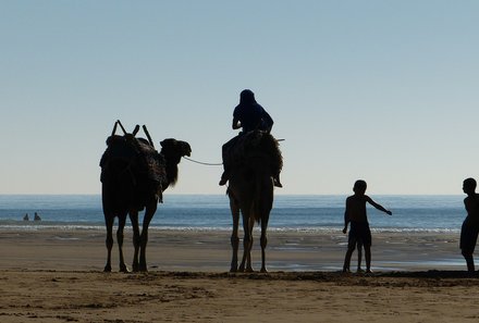 Marokko mit Kindern - Marokko for family Summer - Essaoira: Kamele am Strand