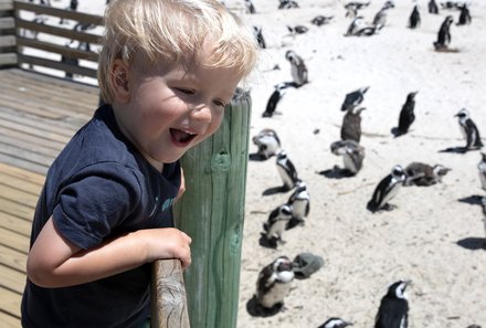 Garden Route Familienreise - Junge bei Pinguinen am Boulders Beach