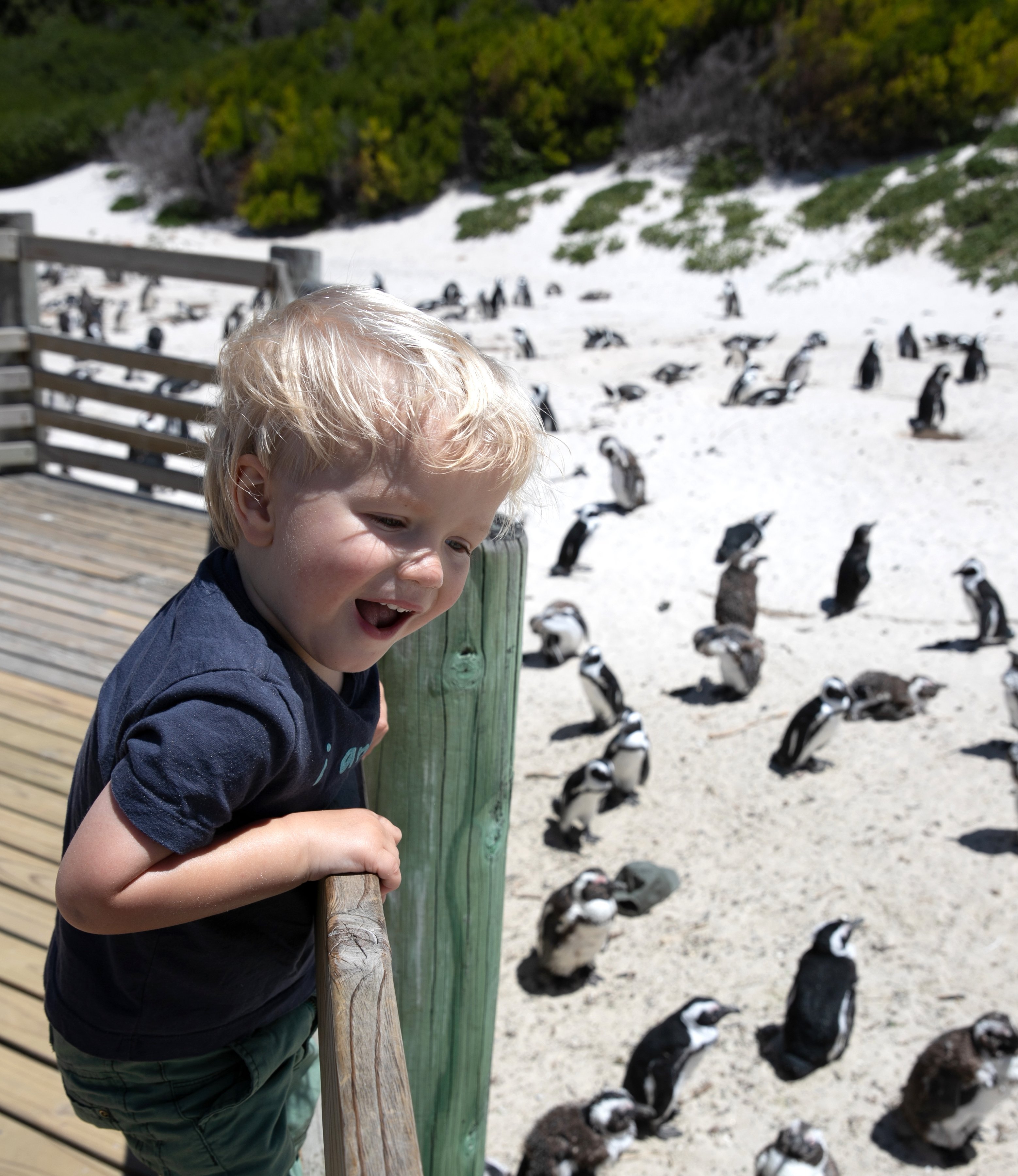 Einreise Südafrika Kinder - Einreisebestimmungen Südafrika mit Kindern - Kind bei Pinguinen