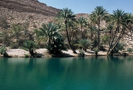 Familienurlaub Oman - Oman for family - Osase Wadi ban Khalid 