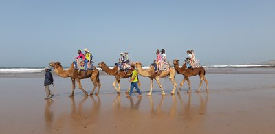 Feedback MAFFAL Osterferien 2023 - Marokko for family - Kinder auf Kamelen am Strand