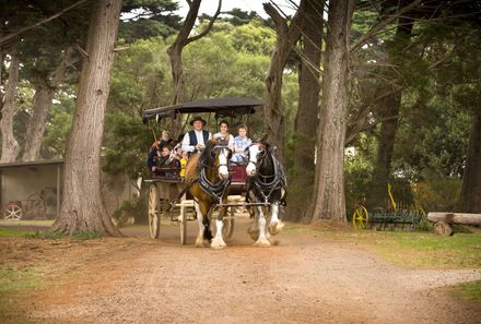 Australien for family - Australien Familienreise - Churchill Island -  Kutsche