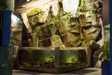 Irland Familienreise - Irland for family - Galway Atlantaquaria