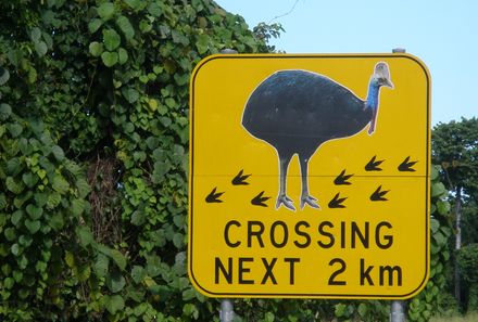 Australien mit Kindern - Schild