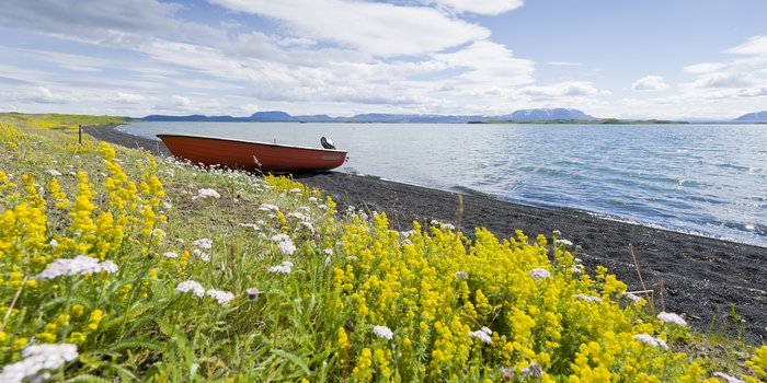 Zehn Gründe für einen Urlaub mit Kindern in Island - Beeindruckende Natur in Island - Rotes Boot und Landschaft