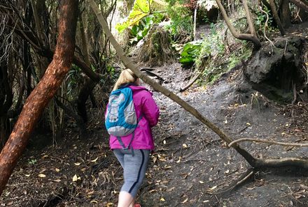 Costa Rica mit Jugendlichen - Costa Rica Family & Teens - Besuch im Regenwald