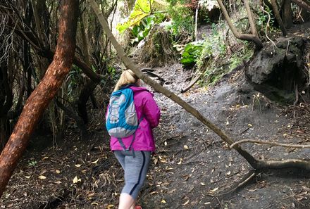 Costa Rica mit Kindern - Wanderung durch den Regenwald