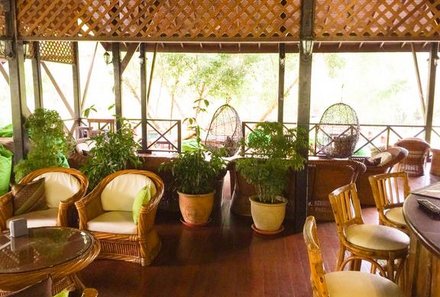 Malaysia Familienreise - Malaysia for family individuell - Sepilok Nature Lodge - Pflanzen