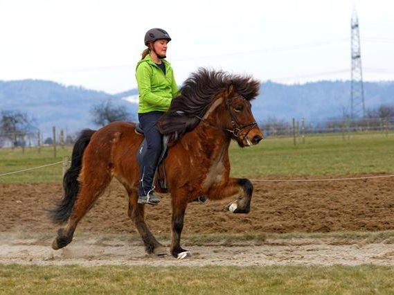 Mitarbeiter For Family Reisen - Anna-Lea Schaper auf dem Pferd