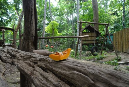 Laos und Vietnam Familienreise - Laos und Vietnam Reise mit Kindern - Lebensraum Bärenschutzzentrum