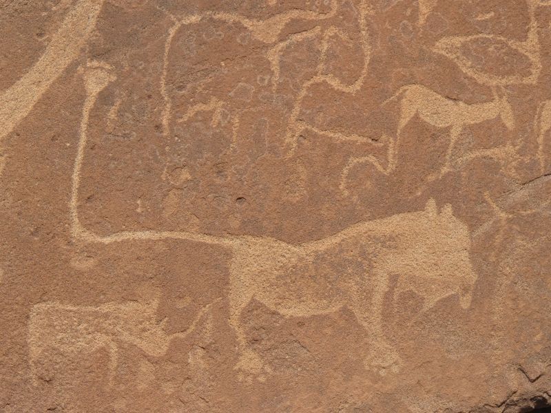 Abenteuersafaris in Namibia - Namibia mit Kindern - Felszeichnungen in Twyfelfontein