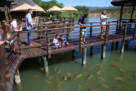 Garden Route mit Kindern  - Fischbeobachtungen