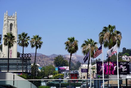 USA Südwesten mit Kindern - USA Westküste for family individuell - Abenteuer im Wilden Westen - Hollywood Boulevard mit Palmen