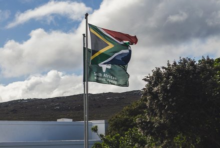 Südafrika Blog Artikel - Südafrikanische Flagge – Südafrika Reise mit Kindern