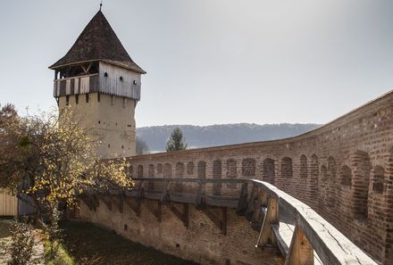 Familienreise Rumänien - Alma Vii - Kirchenburg