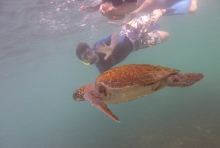 Galapagos for family - Galapagos Familienreise - Schnorcheln mit Schildkröte