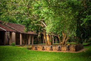 Sri Lanka mit Jugendlichen - Sri Lanka Summer Family & Teens - Sigiriya - The Sigiriya Village - Anlage
