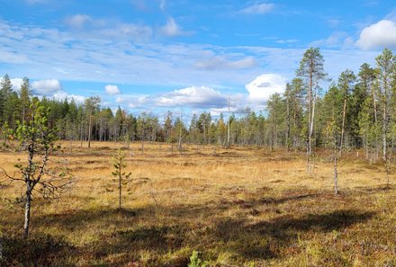 Finnland mit Kindern - Finnland Urlaub mit Kindern - Familienurlaub Finnland - Naturlandschaft