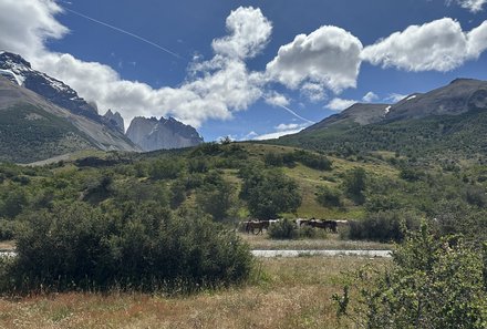 Patagonien Family & Teens - Torres del Paine - Landschaft mit Himmel