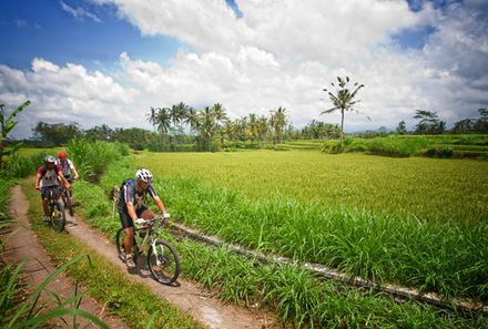 Bali mit Kindern - Bali for family - Radfahren
