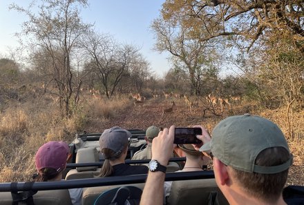 Südafrika Familienreise - Südafrika for family - Pirschfahrt zum Sonnenuntergang - Familien machen Fotos