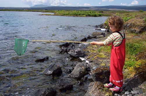 Island Familienreise Kind angeln